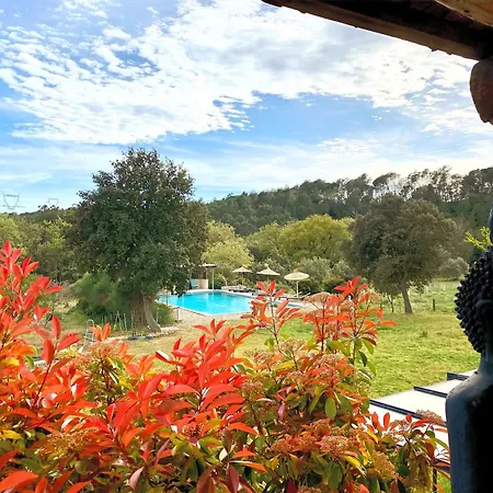 Tiny House - Mas Du Soleil *